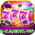 456a Gaming VIP